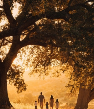 A family walking together under a large oak tree at sunset, symbolizing connection and growth in online family therapy.